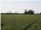 Moree NSW 2400