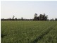 Moree NSW 2400