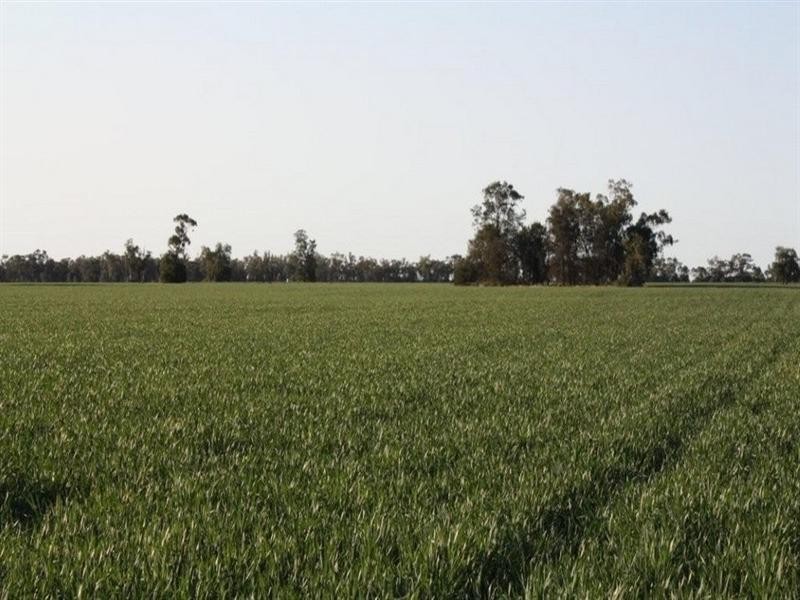 Moree NSW 2400