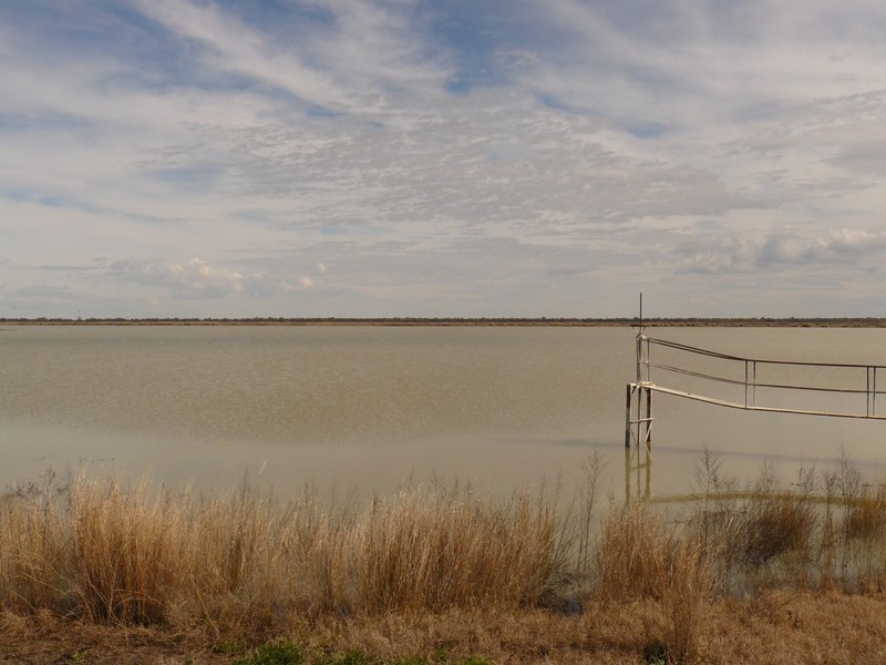 Burren Junction NSW 2386