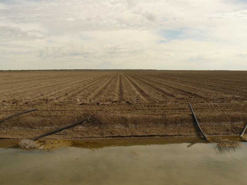 Burren Junction NSW 2386