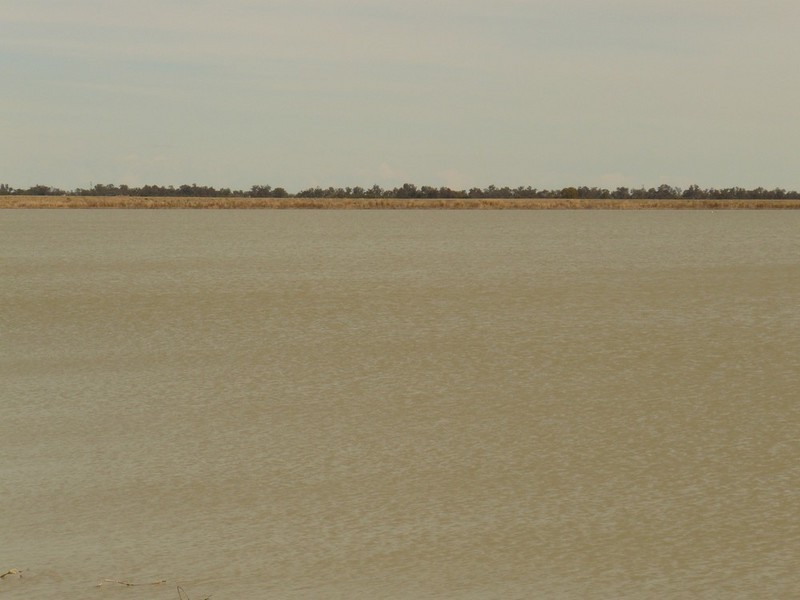 Burren Junction NSW 2386