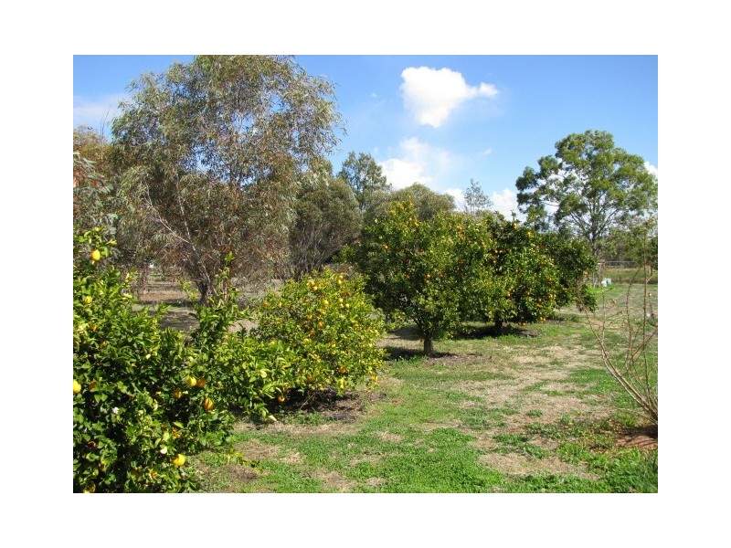 Moree NSW 2400
