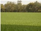 Croppa Creek NSW 2411