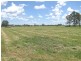 Moree NSW 2400