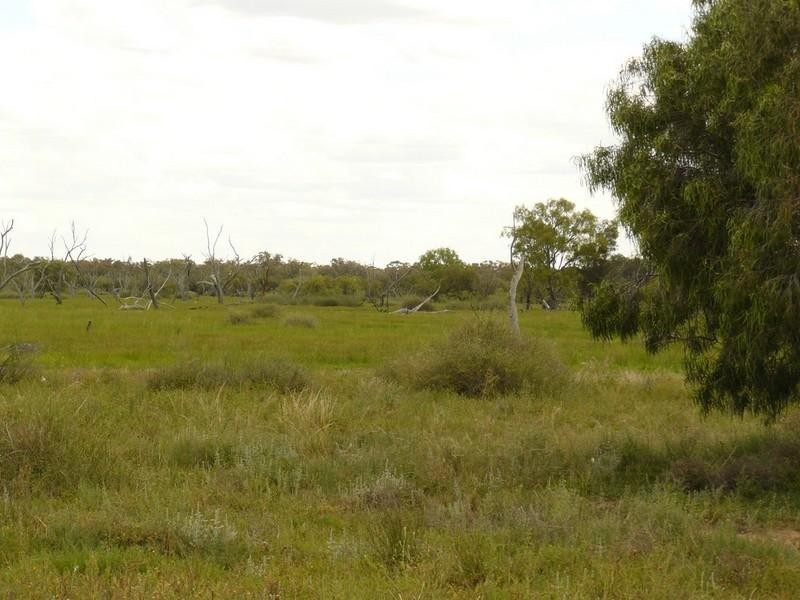 Moree NSW 2400