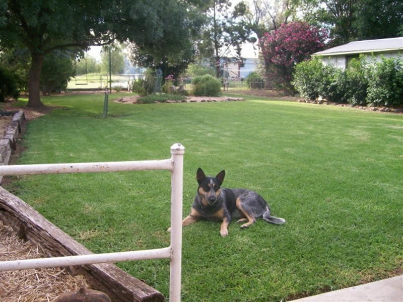 Moree NSW 2400