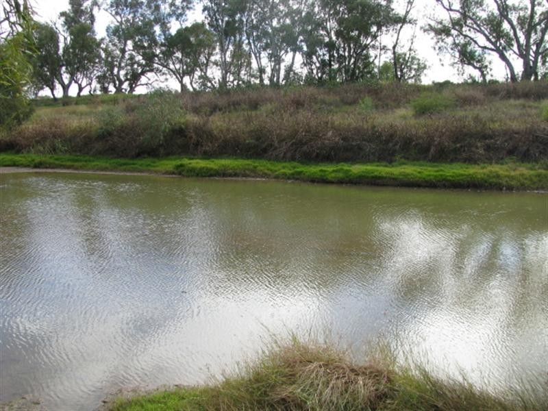 Moree NSW 2400