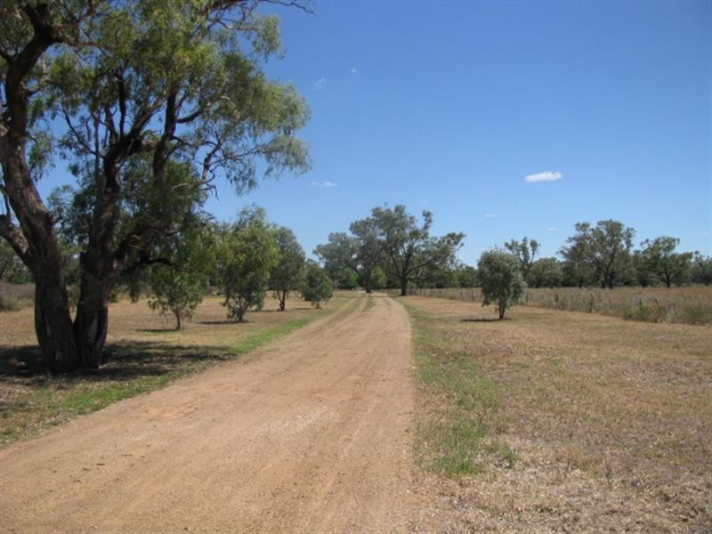 Moree NSW 2400