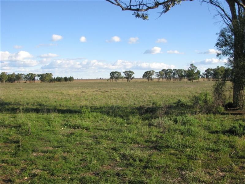 Moree NSW 2400