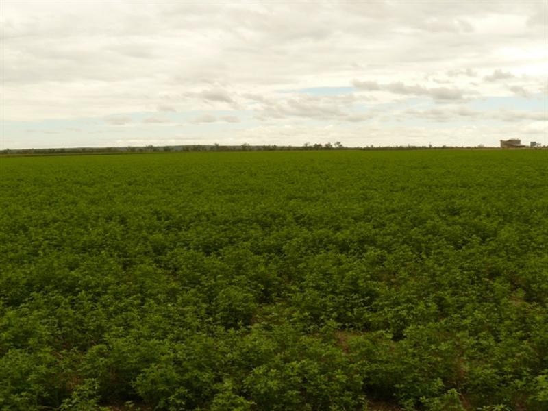35 Beebo Road, Yetman NSW 2410