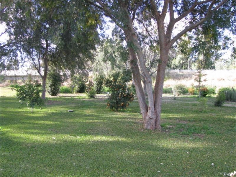 Moree NSW 2400