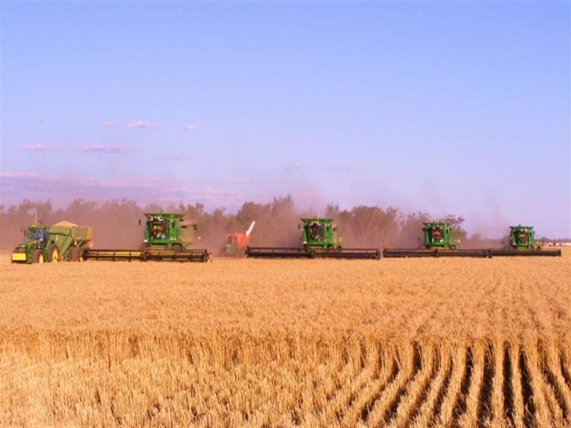 8 Presbury Road, Mungindi NSW 2406