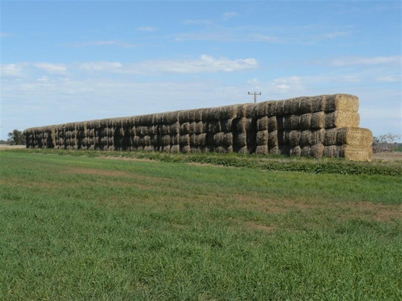 8 Presbury Road, Mungindi NSW 2406