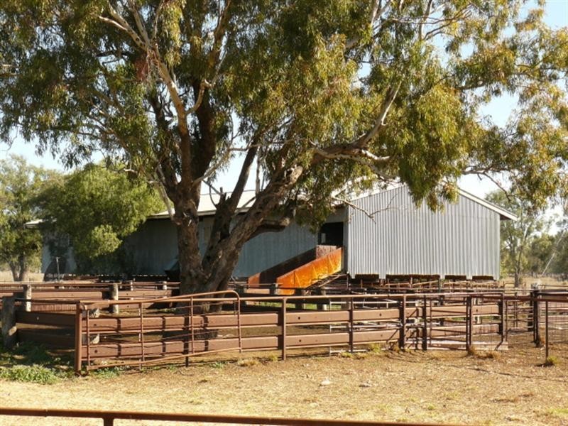 67 Baradine-Collarenebri Road, Collarenebri NSW 2833