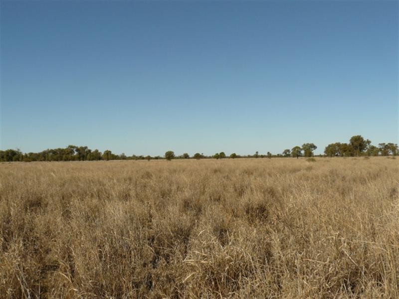 67 Baradine-Collarenebri Road, Collarenebri NSW 2833