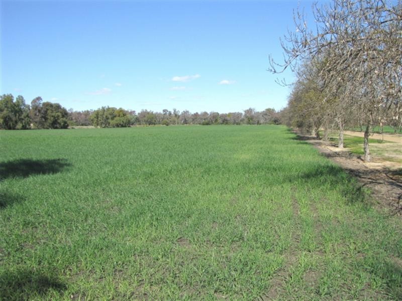 Moree NSW 2400