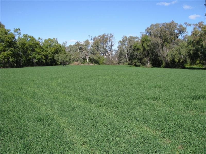 Moree NSW 2400