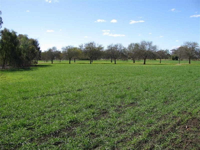 Moree NSW 2400
