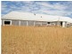 1 Wallangra Road, Wallangra NSW 2360