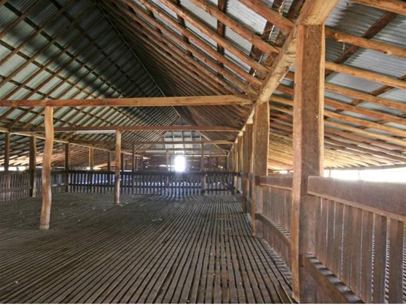 1 Wallangra Road, Wallangra NSW 2360