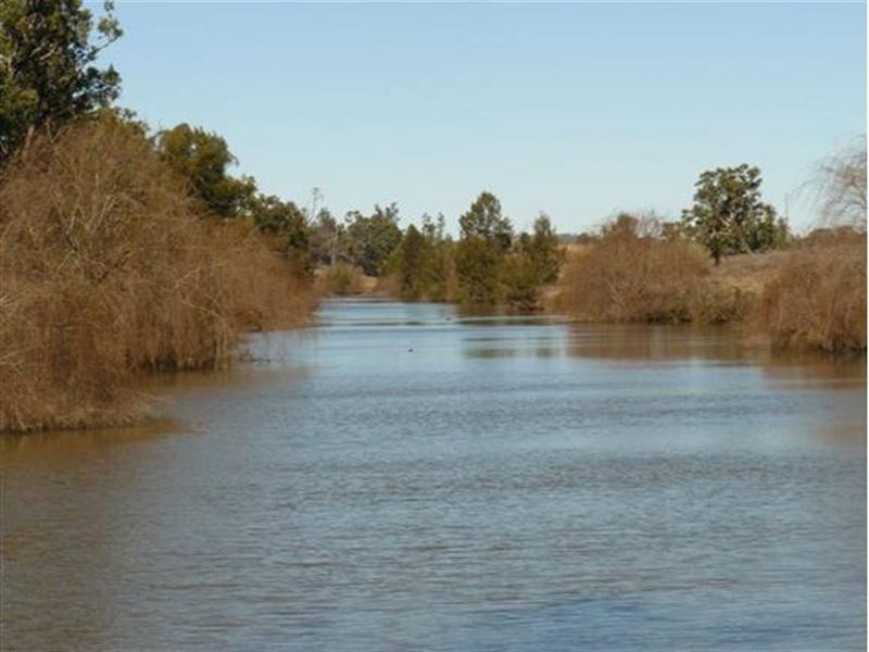 1 Wallangra Road, Wallangra NSW 2360