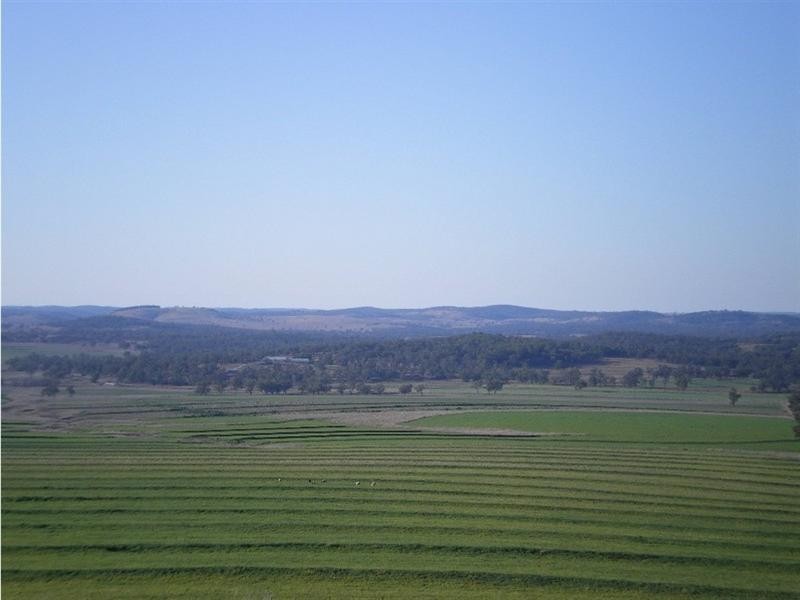 1 Wallangra Road, Wallangra NSW 2360