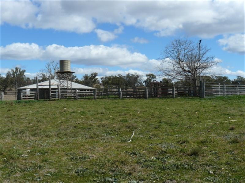 1 Wallangra Road, Wallangra NSW 2360