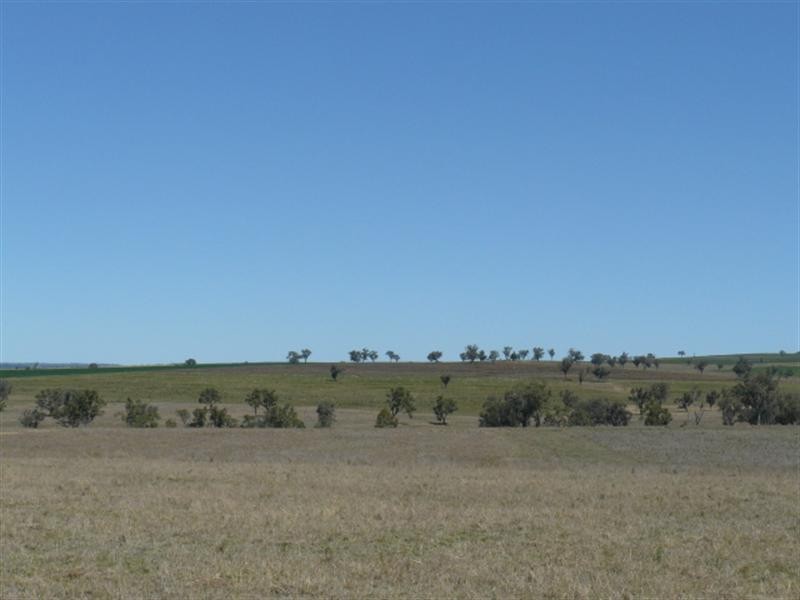75 Graman Road, Wallangra NSW 2360
