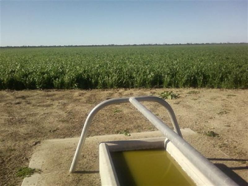 72 Kamilaroi Highway, Walgett NSW 2832