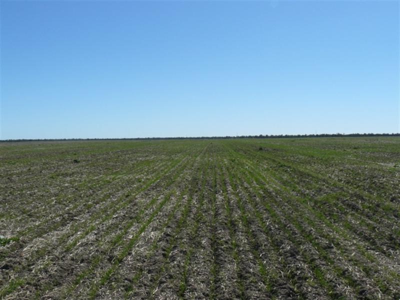 72 Kamilaroi Highway, Walgett NSW 2832