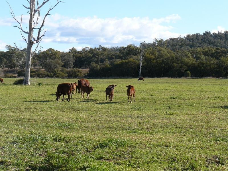 1 Yetman Road, Coolatai NSW 2402