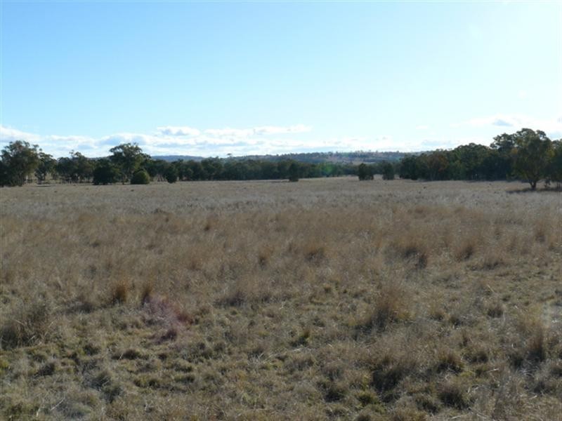 1 Yetman Road, Coolatai NSW 2402