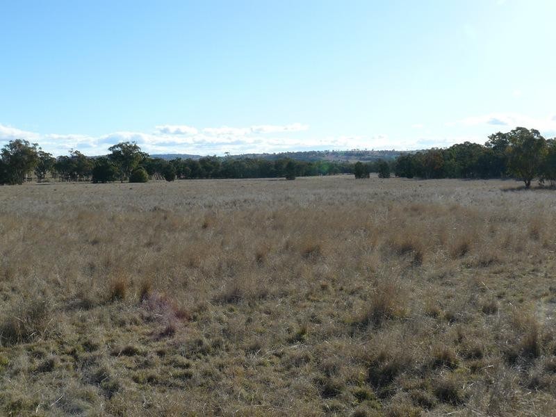 1 Yetman Road, Coolatai NSW 2402