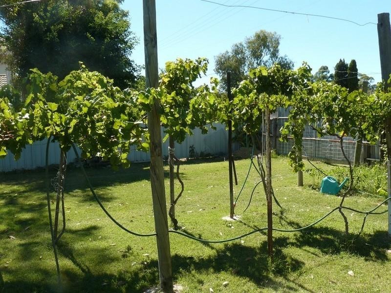 66 Oak Street, Moree NSW 2400