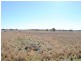 Moree NSW 2400