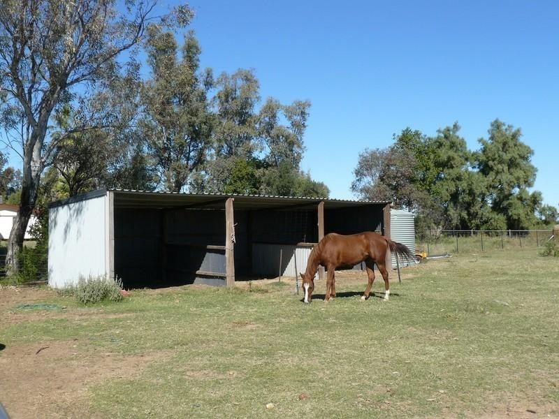 69 Wilga Street, Ashley NSW 2400