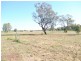 Moree NSW 2400