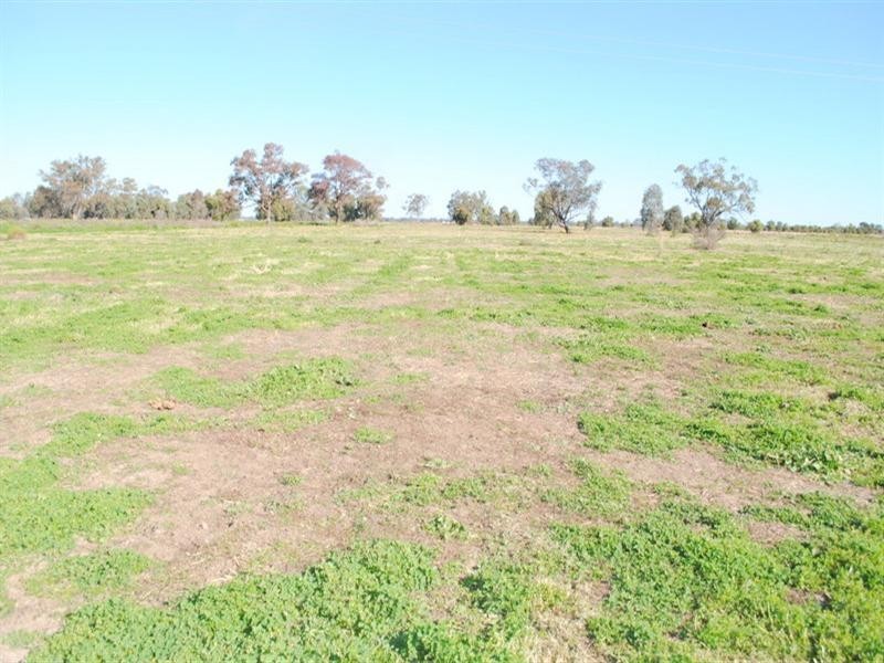 Moree NSW 2400