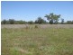 Moree NSW 2400