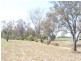 Moree NSW 2400