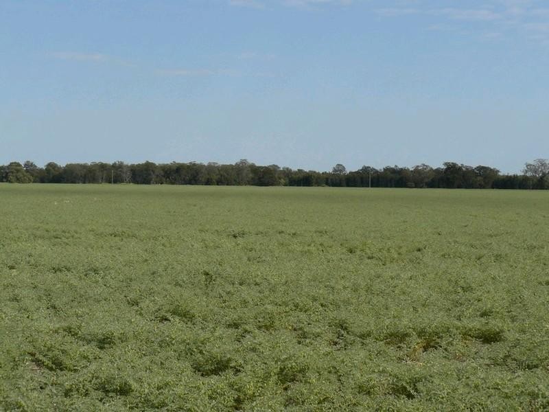 Croppa Creek NSW 2411