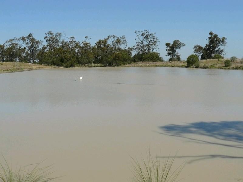 Croppa Creek NSW 2411