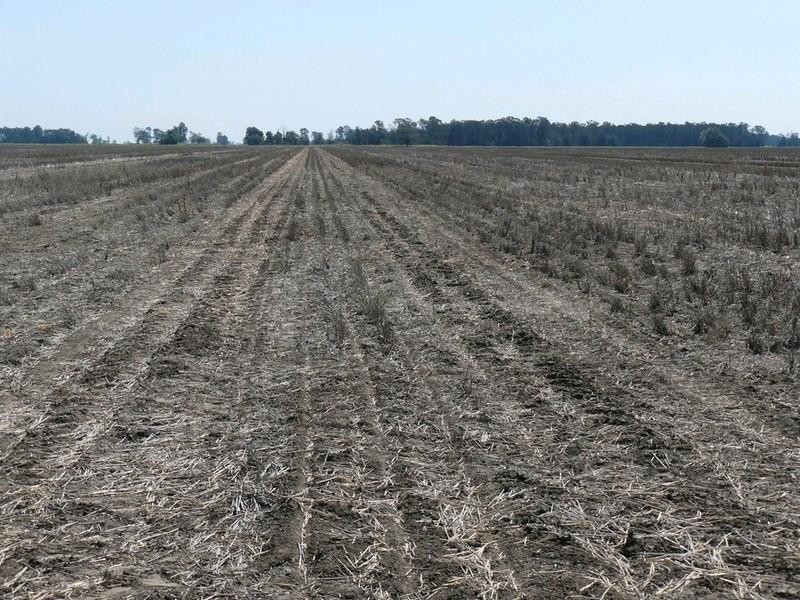 Croppa Creek NSW 2411