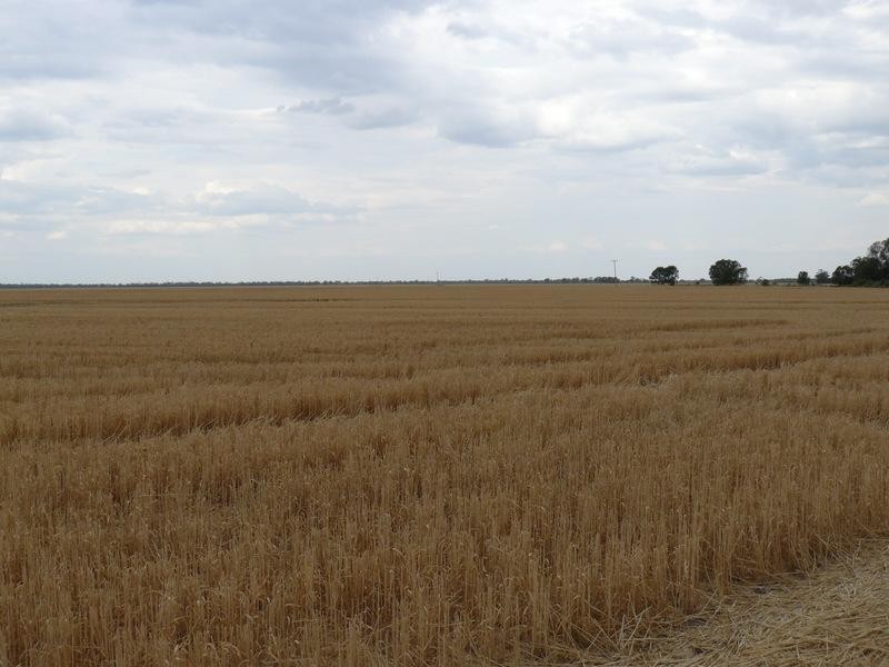 Goondiwindi QLD 4390