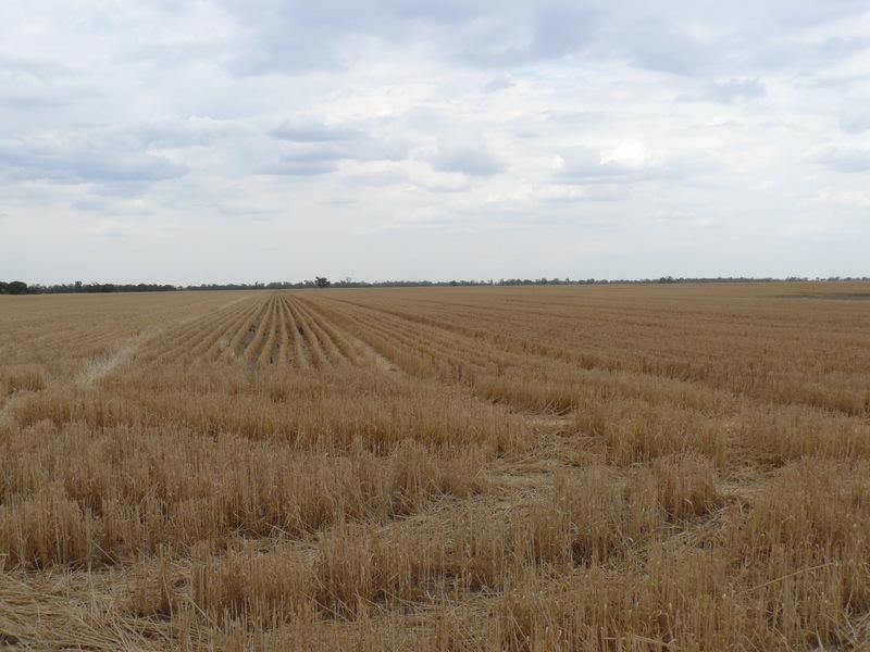 Goondiwindi QLD 4390