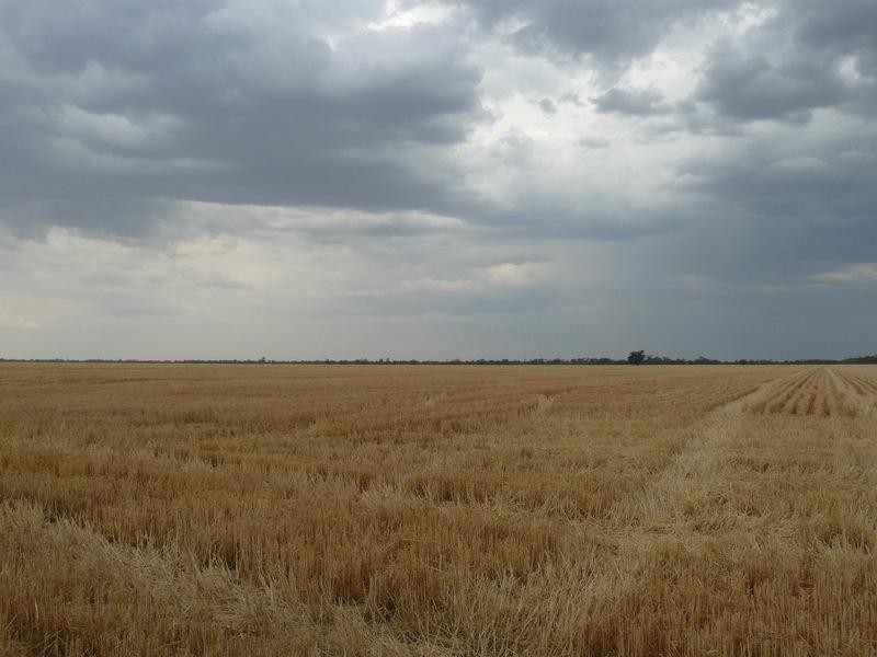 Goondiwindi QLD 4390