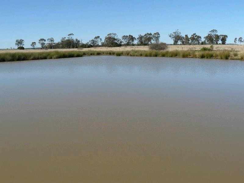 Pallamallawa NSW 2399