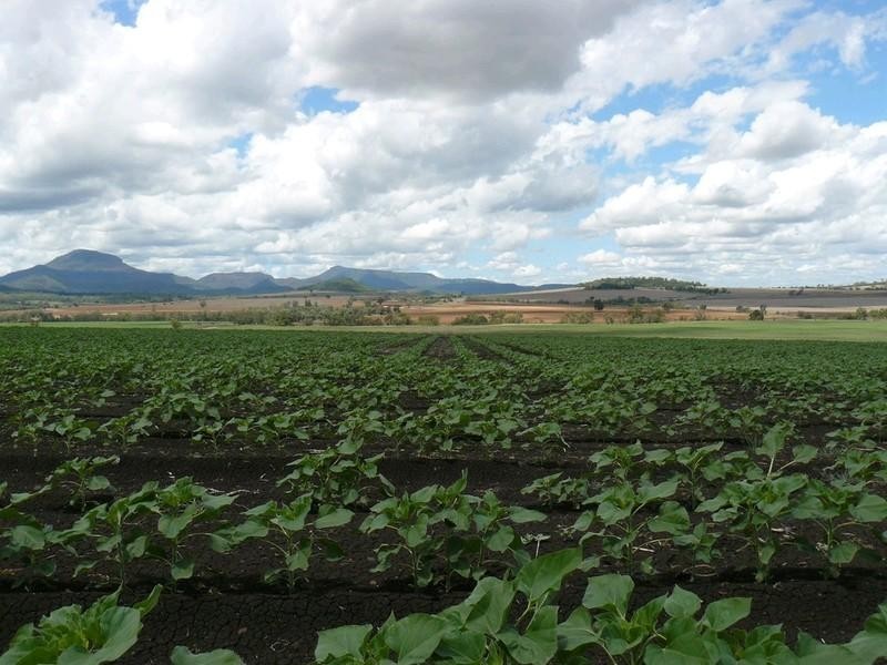 205 Spooners Gap-Bellata Road, Bellata NSW 2397