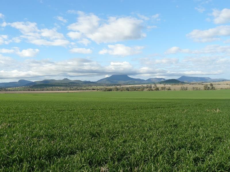 205 Spooners Gap-Bellata Road, Bellata NSW 2397